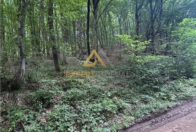 Teren de 1900 mp, în Valea Borcutului