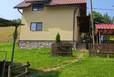 Casă cu 4 camere în Albac - 8