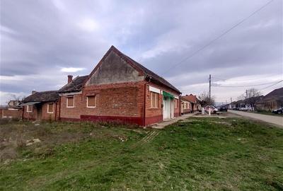 Casă individuală cu 7 camere cu Teren 540 Mp în Berliște - 2