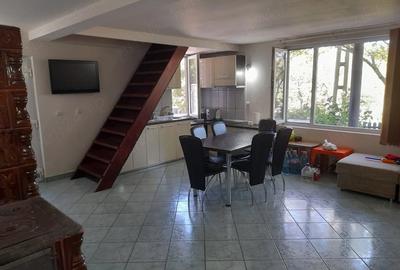 Casă cu Teren 2440 Mp în Sasca Română