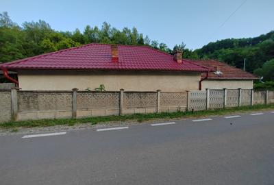 Casă individuală cu 4 camere cu Teren 8700 Mp în Băița - 2