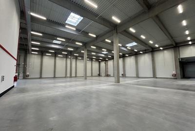 Spațiu industrial, de 4,000 mp, în Palas - 2