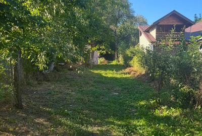 Casă cu 3 camere decomandat în Central