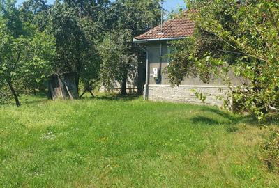 Casă cu 2 camere cu Teren 3000 Mp în Zdrapți