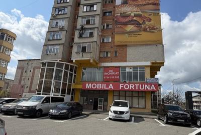 Spațiu comercial, de 600 mp, în Craiovița Nouă
