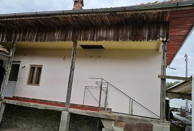 Casă cu Teren 3460 Mp în Pocruia - 4
