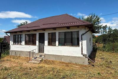 Casă cu 2 camere cu Teren 2900 Mp în Ludu