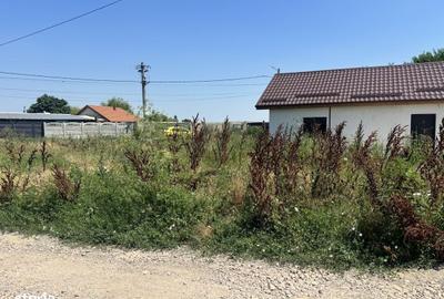 Casă cu 2 camere în Cernica
