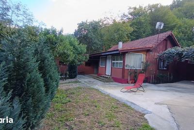 Casă cu 4 camere cu Teren 705 Mp în Copăcel - 19