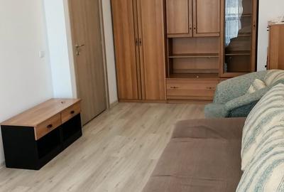 Garsonieră decomandată în Bucium - 7