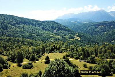 Teren de 33300 mp, în Central - 2