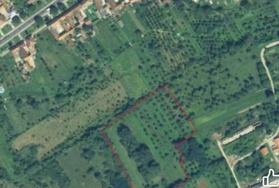 Teren de 13000 mp, în Glimboca - 1