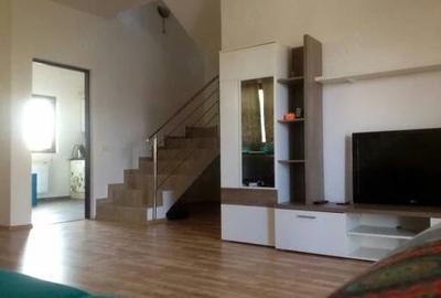 Casă cu Teren 300 Mp în Dumbrăvița - 4