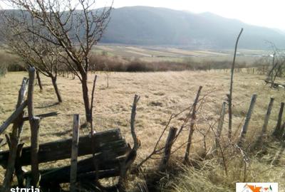 Teren de 1000 mp, în Ighiu - 1