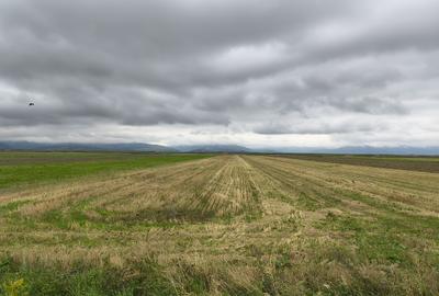 Teren agricol extravilan de 8900 mp, în Prejmer - 2