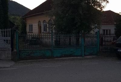 Casă cu 2 camere cu Teren 1567 Mp în Băița - 3