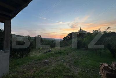Casă cu Teren 1600 Mp în Petrilaca - 3