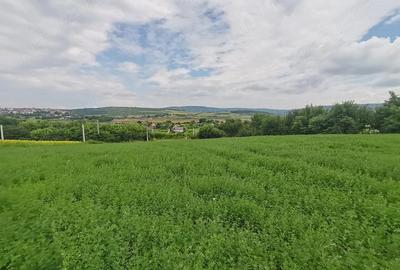 Teren de 500 mp, în Lunca Cetățuii
