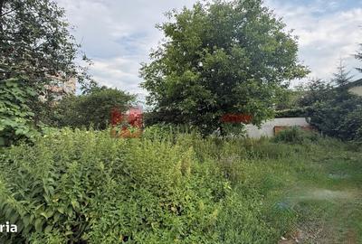 Spațiu comercial, în Tractorul - 3
