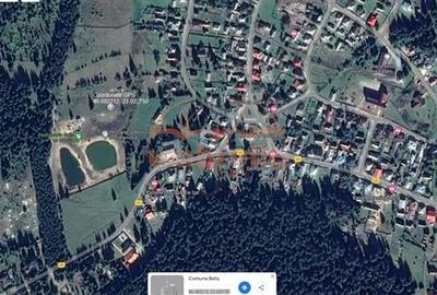 Teren Construcții extravilan de 1238 mp, în Beliș - 4