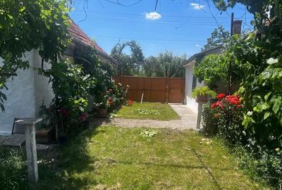Casă cu 4 camere în Jamu Mare - 6