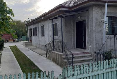 Casă cu 4 camere în Topliceni - 10