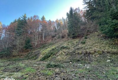 Teren de 2882 mp, în Dâmbovicioara - 4