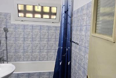 Apartament cu 2 camere semidecomandat în Berceni - 4