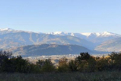 Teren de 3800 mp, în Mioarele - 2