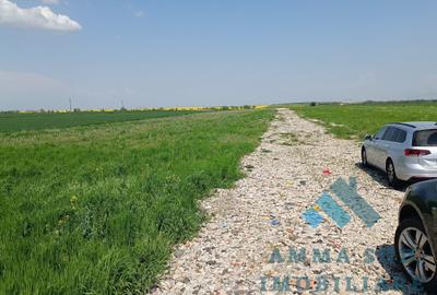 Teren Construcții intravilan de 1000 mp, în Glina - 1