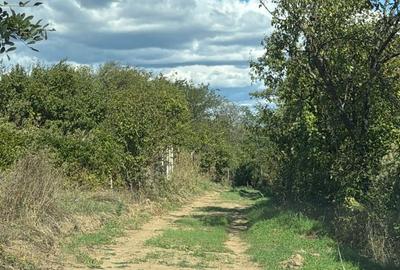 Teren de 4000 mp, în Vernești