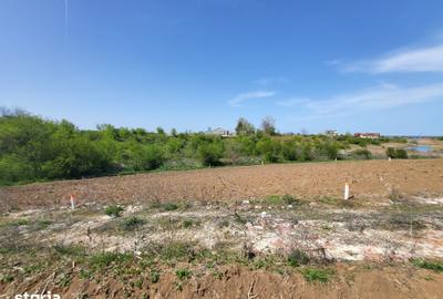 Teren de 500 mp, în Snagov - 10