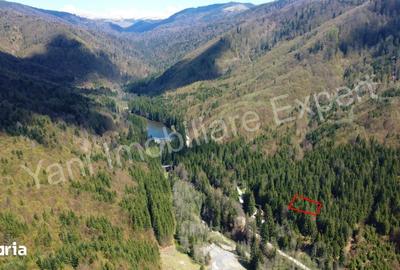 Teren de 983 mp, în Nucșoara - 11