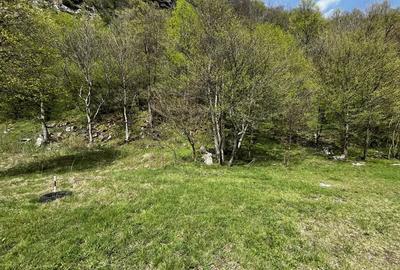 Teren de 919 mp, în Clopotiva