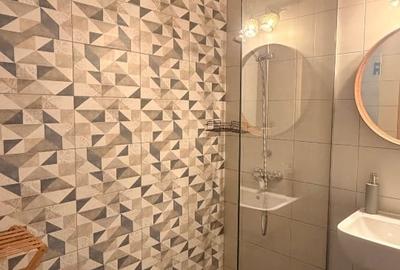 Apartament cu 2 camere decomandat, mobilat în Take Ionescu - 9