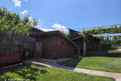 Casă cu 2 camere în Viișoara - 2