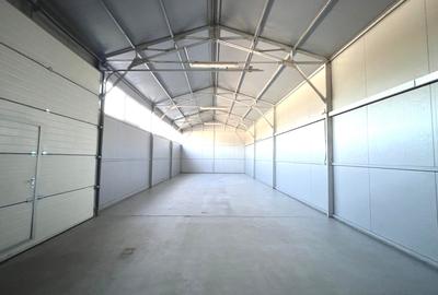 Spațiu industrial, de 120 mp, în Cantemir