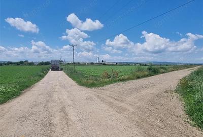 Teren de 27500 mp, în Șerbești - 2