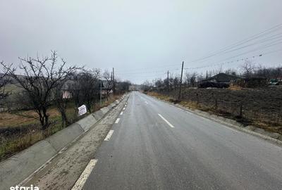 Teren de 2600 mp, în Popricani