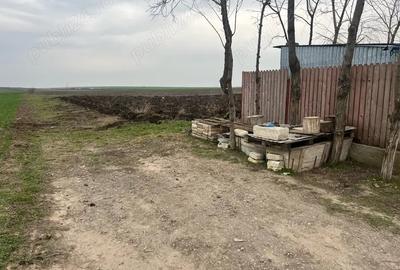 Teren de 2000 mp, în Vasile Alecsandri - 1