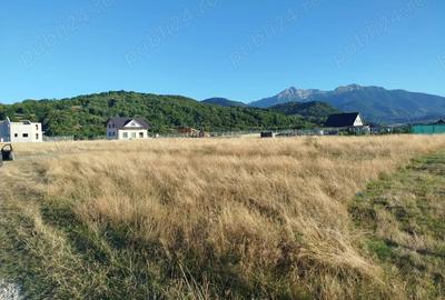 Teren de 1000 mp, în Glăjărie - 3