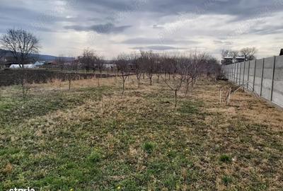 Teren de 1427 mp, în Șiria