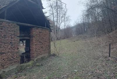 Teren de 8800 mp, în Nojag - 4