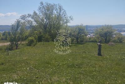 Teren de 2900 mp, în Central