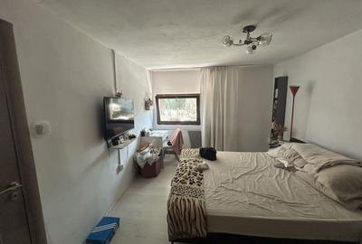 Casă cu 3 camere în Bariera Vâlcii - 3