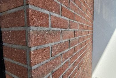 Duplex cu 6 camere cu Canalizare în Borhanci - 8