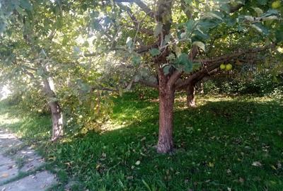 Casă individuală cu 4 camere cu Canalizare în Central - 2