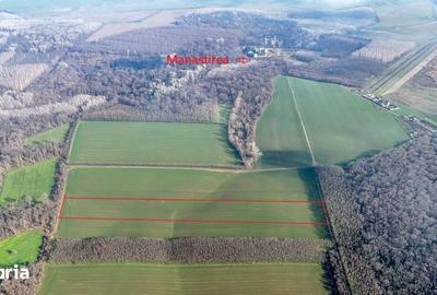 Teren de 16900 mp, în Grădiștea - 8