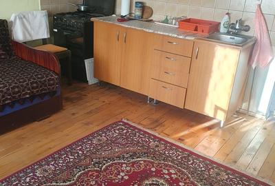 Casă cu 3 camere cu Teren 2600 Mp în Brădeni