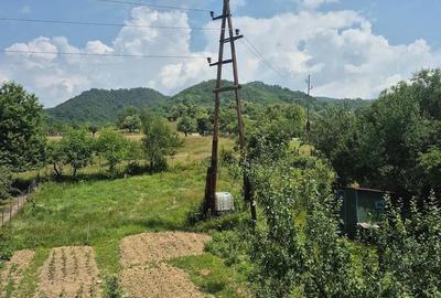 Casă cu Teren 3000 Mp în Central - 1